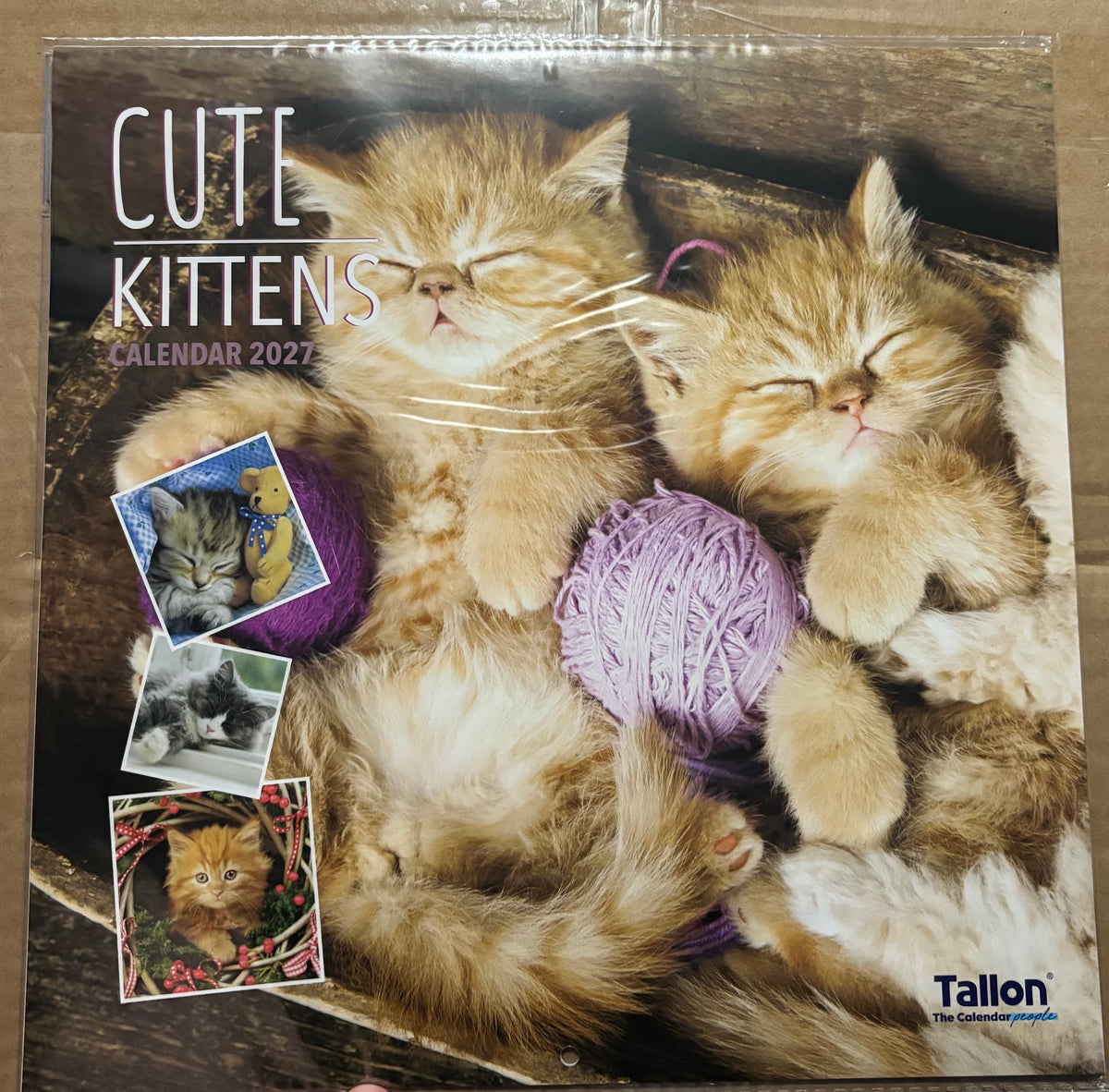 2027 CUTE KITTEN CALENDAR