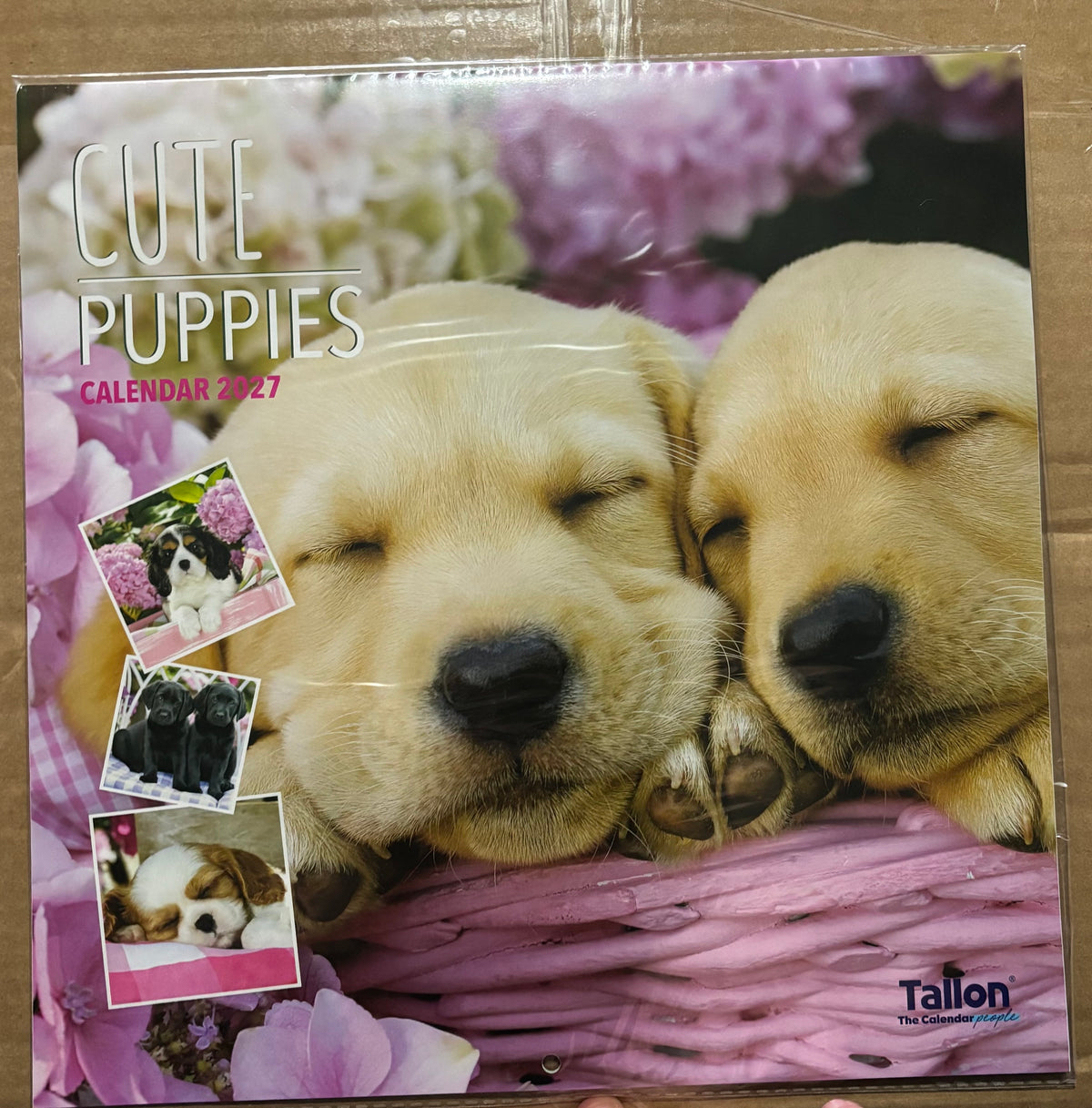 CUTE PUPPIES 2027 CALENDAR