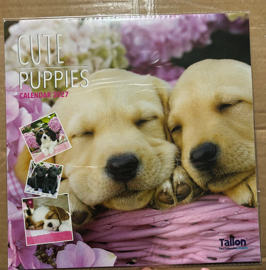 CUTE PUPPIES 2027 CALENDAR