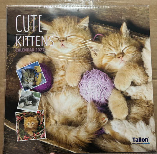 2027 CUTE KITTEN CALENDAR