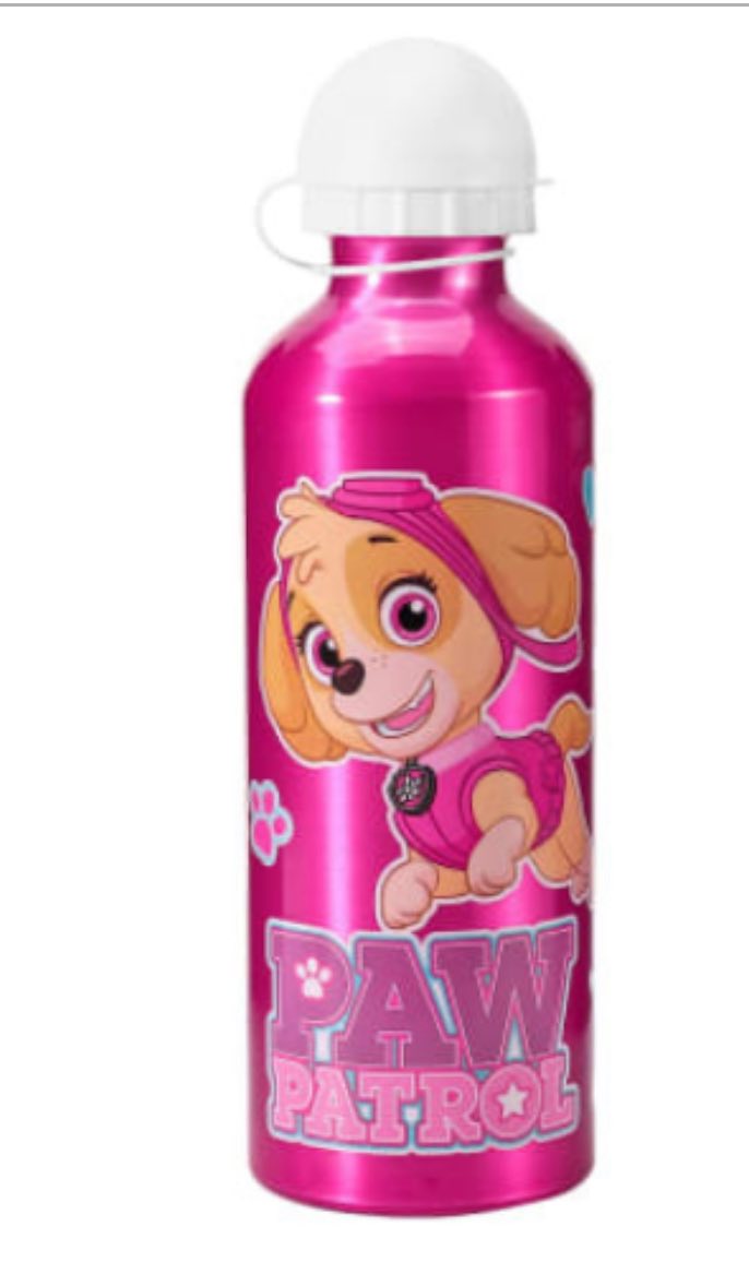 PAW PATROL SKYE METAL DRINKING BOTTLE